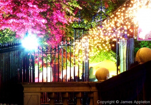 Night, Light and Colour - Photo 6