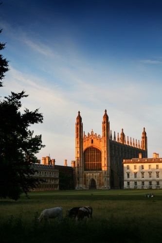 Cambridge: Through the eyes of a student... - Photo 9